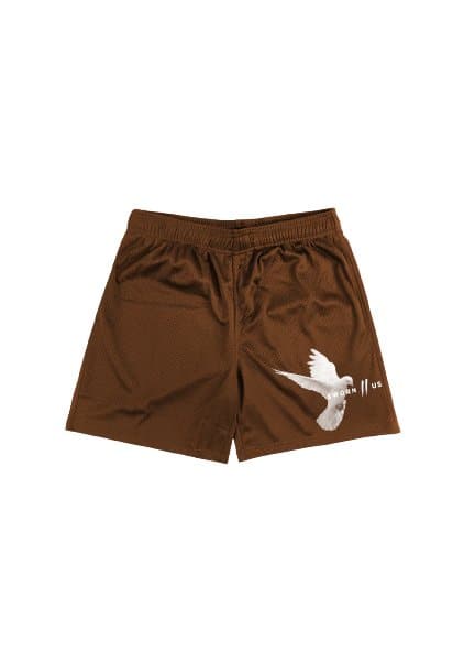 Sworn To Us Motion Mesh Shorts (Rust) – The Magnolia Park