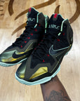 Nike LeBron 11 King's Pride (Pre-Owned)