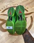 Nike Kobe 6 Protro Grinch (2020) (Pre-Owned)